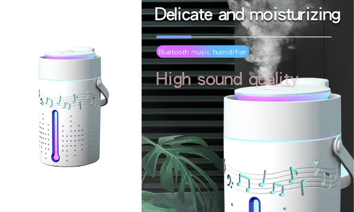 1000mL Mist Humidifier Diffuser