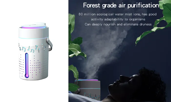 1000mL Mist Humidifier Diffuser