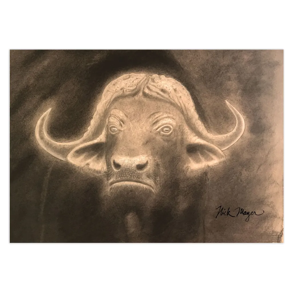 Cape Buffalo II Notecards