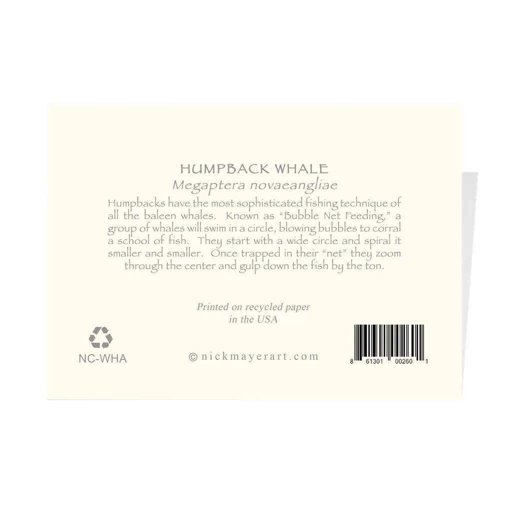 Humpback Whale Notecards