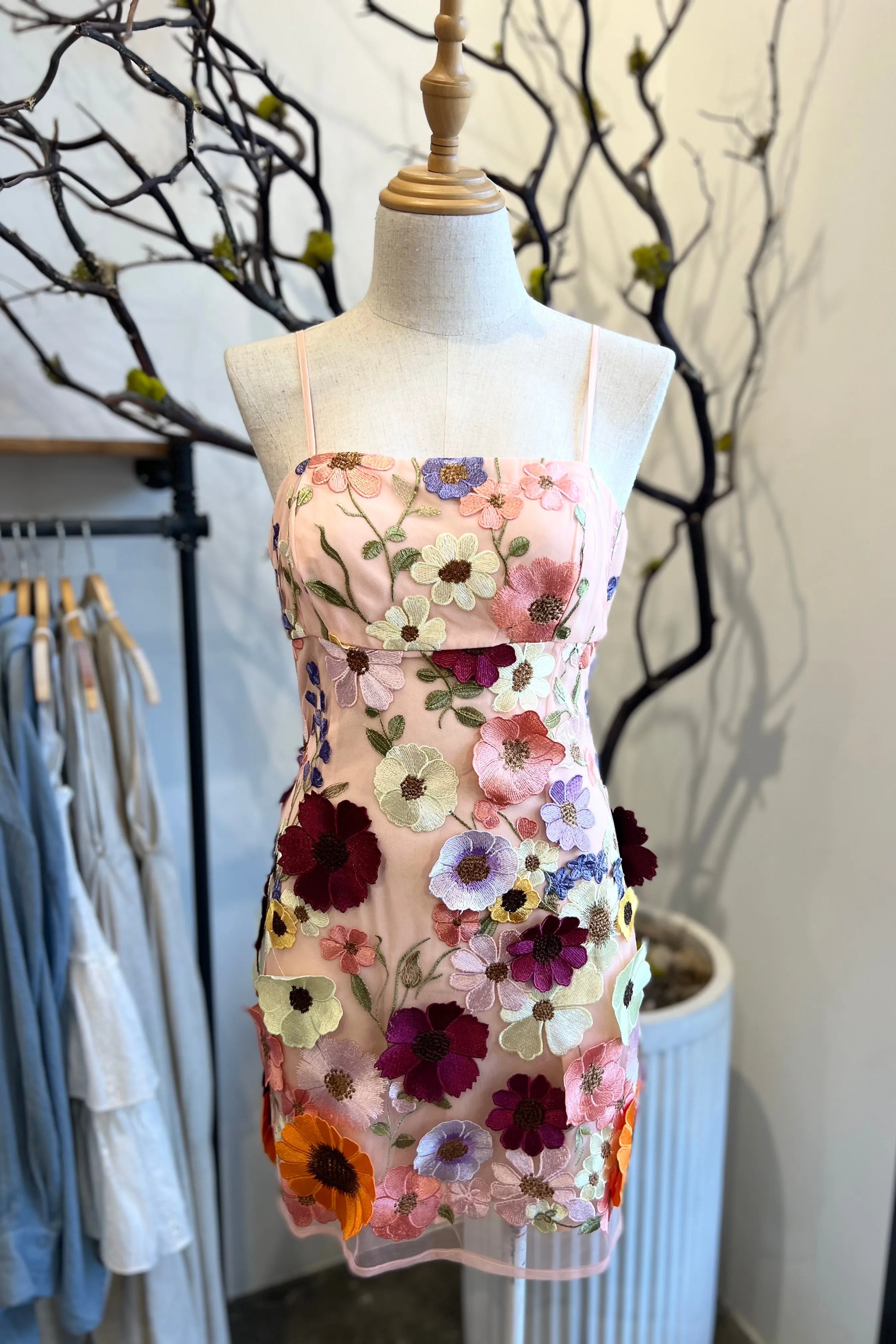 ROSALAND BLUSH FLORAL APPLIQUE DRESS